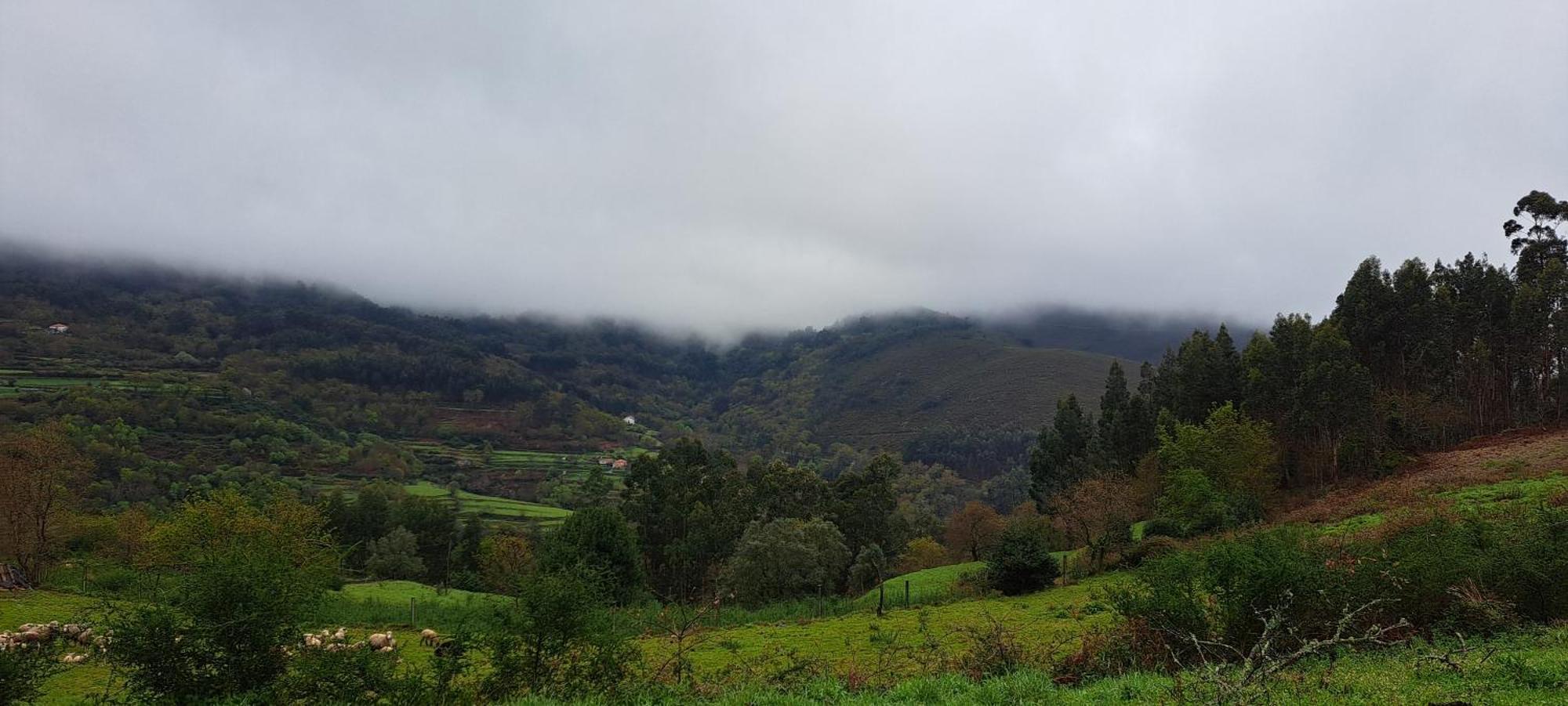 Refugio Dos Cartolas São Mamede de Infesta المظهر الخارجي الصورة