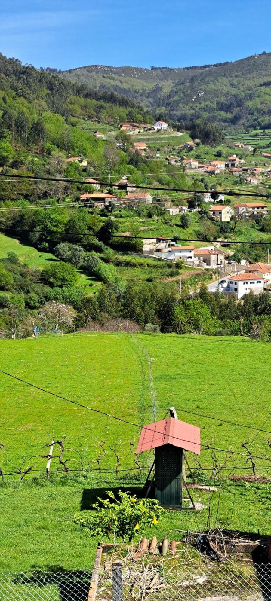Refugio Dos Cartolas São Mamede de Infesta المظهر الخارجي الصورة