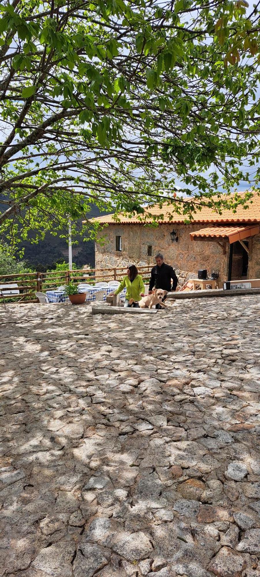 Refugio Dos Cartolas São Mamede de Infesta المظهر الخارجي الصورة